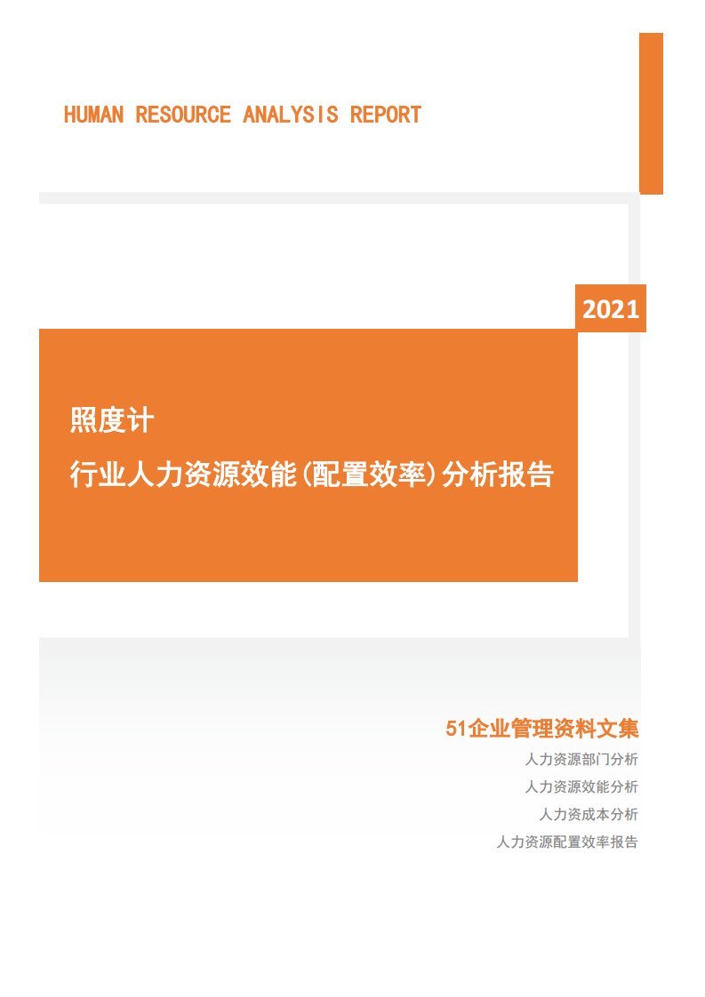 2021年度照度计行业人力资源效能分析报告(市场招聘用工)