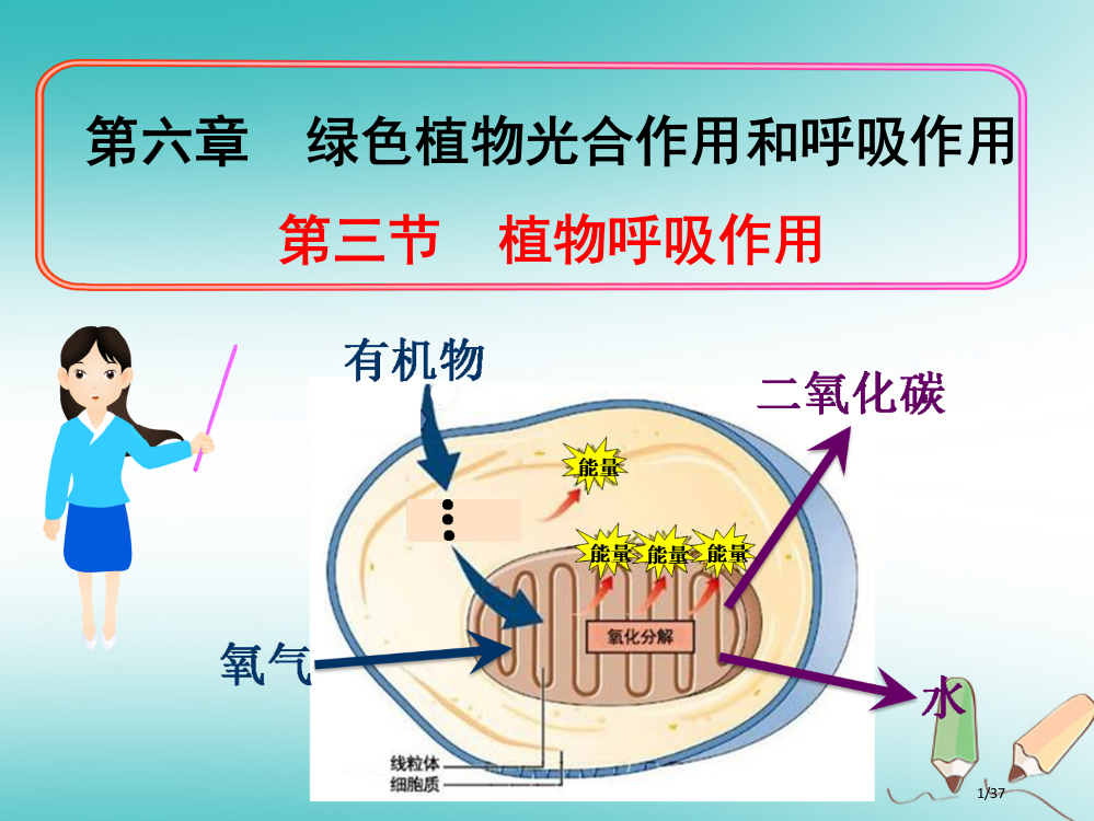 七年级生物上册3.6.4植物的呼吸作用省公开课一等奖新名师优质课获奖PPT课件