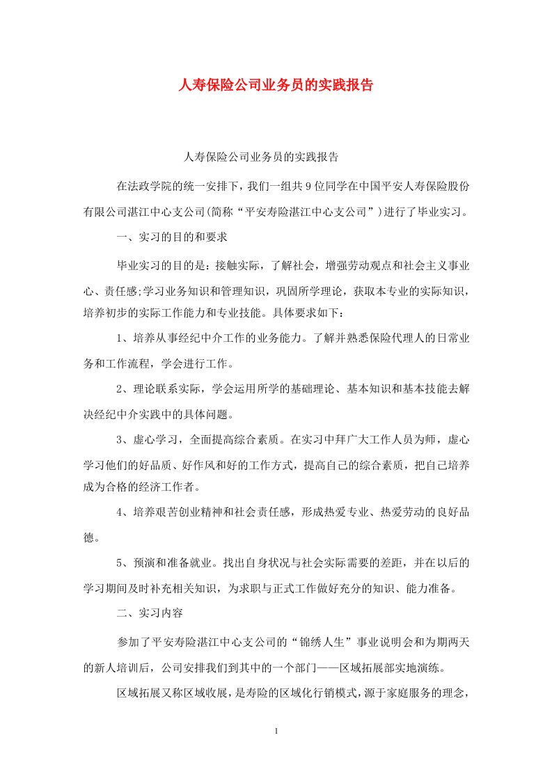 精选人寿保险公司业务员的实践报告