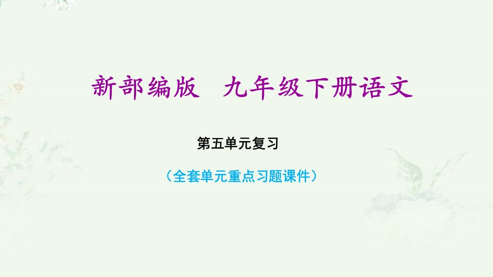 部编版九年级下册初中语文第五单元课后习题重点练习ppt课件