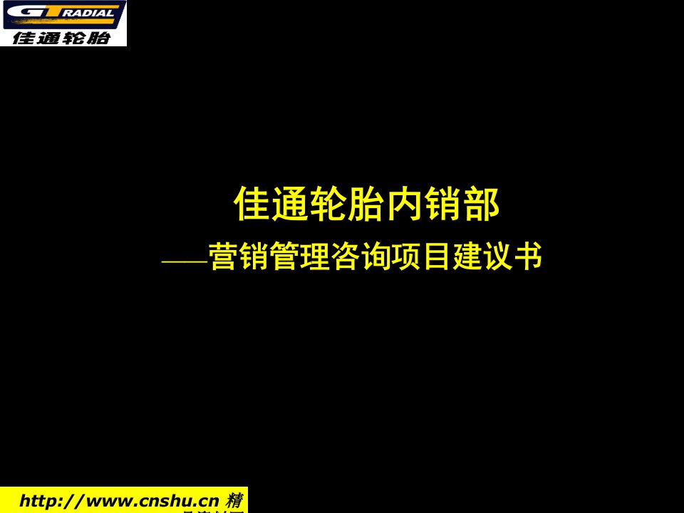 佳通轮胎内销部营销管理咨询建议书(1)