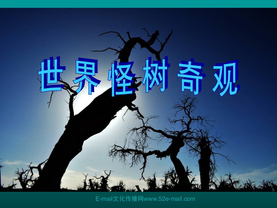 《世界怪树奇观》PPT课件