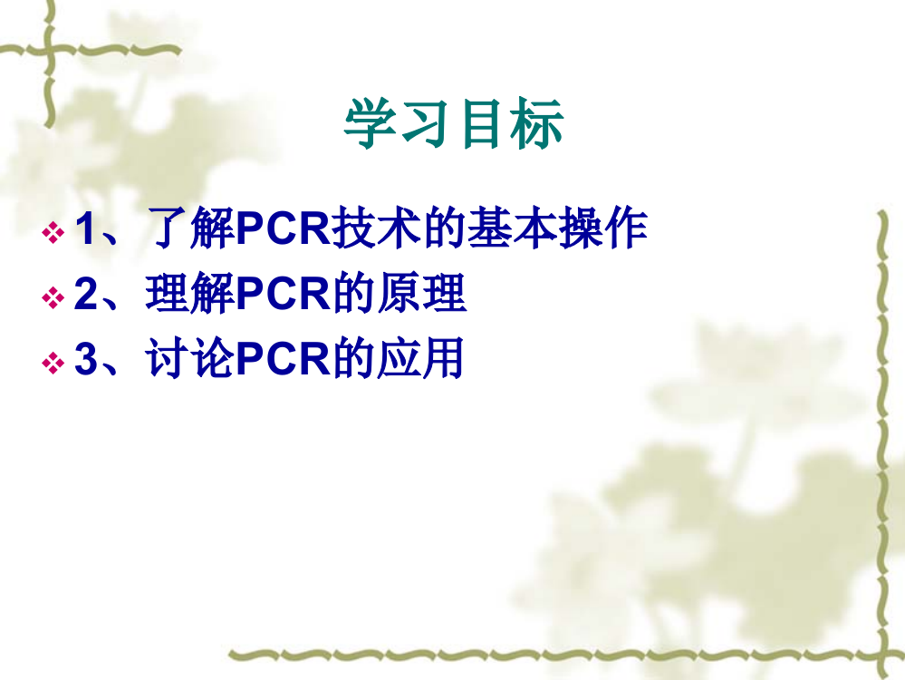 DNA片段的PCR扩增