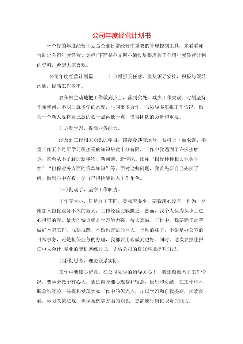 公司年度经营计划书