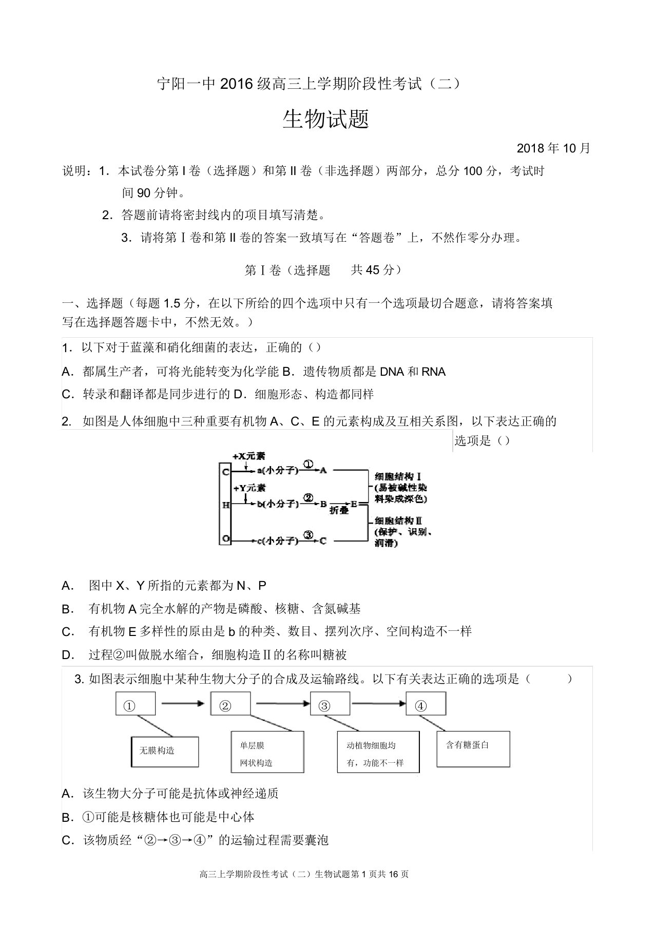 山东省泰安市宁阳一中2019届高三上学期月考生物试题Word版含答案