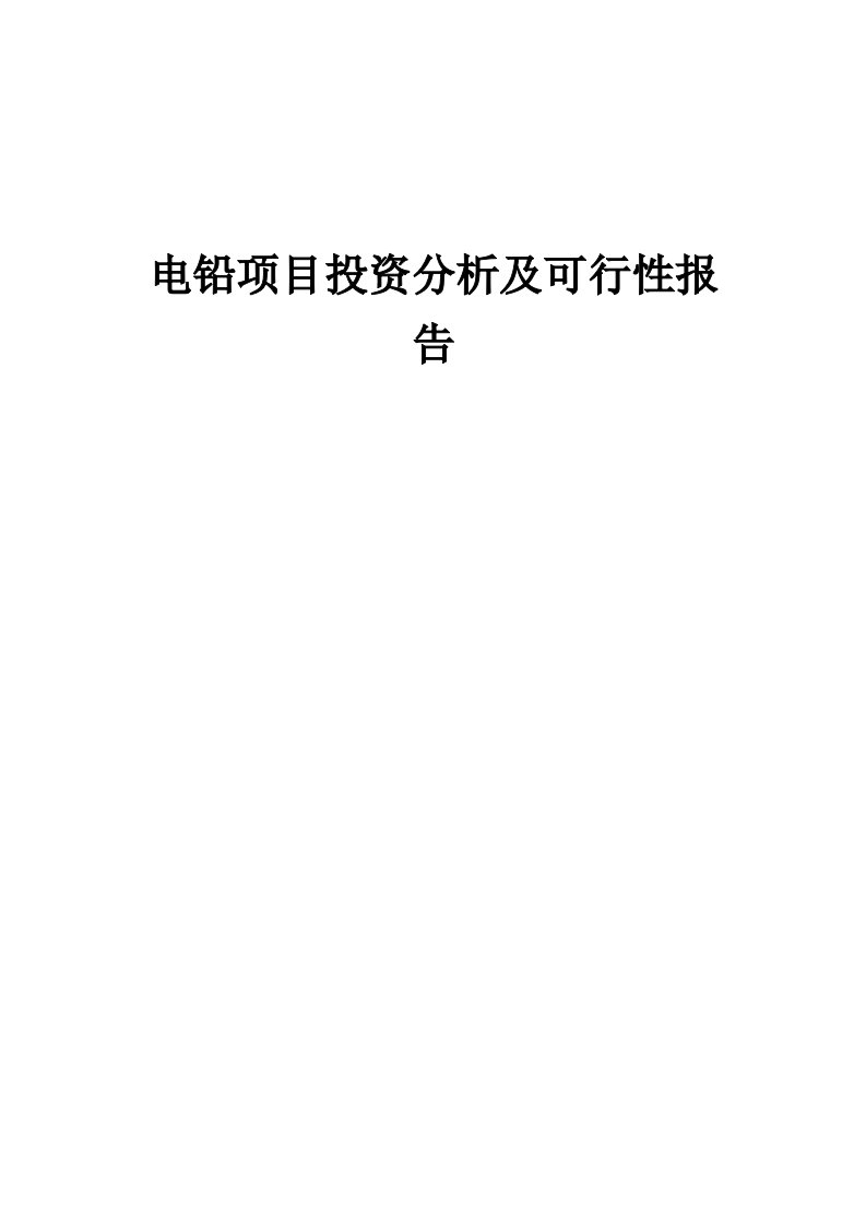 2024年电铅项目投资分析及可行性报告