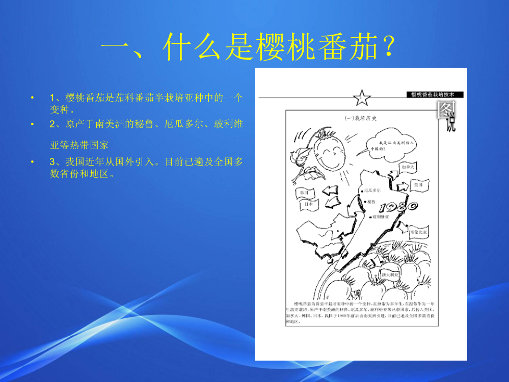 设施樱桃番茄栽培管理技术