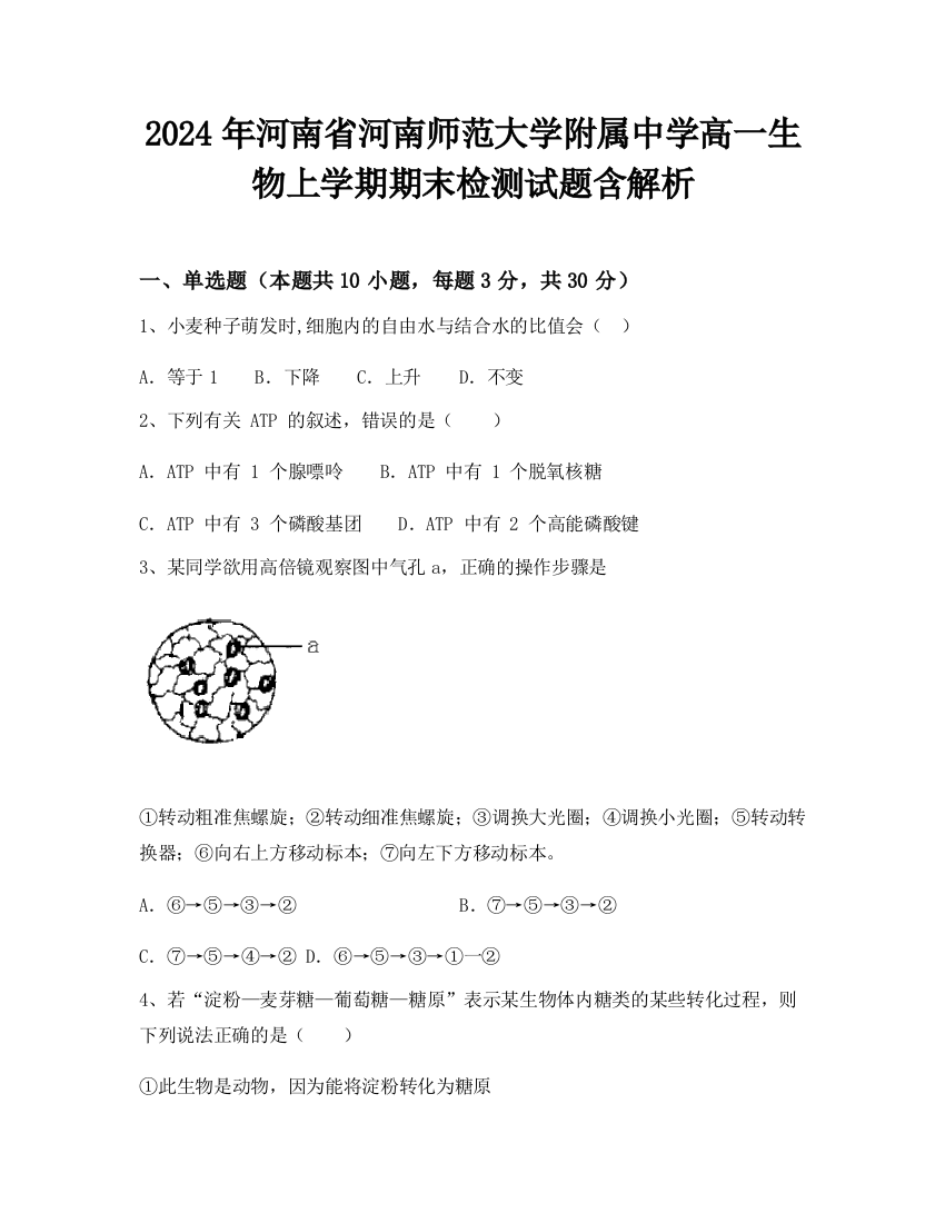 2024年河南省河南师范大学附属中学高一生物上学期期末检测试题含解析