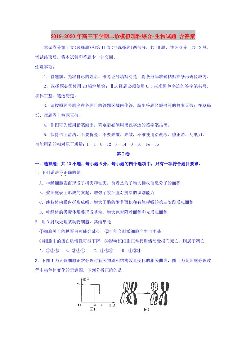 2019-2020年高三下学期二诊模拟理科综合-生物试题