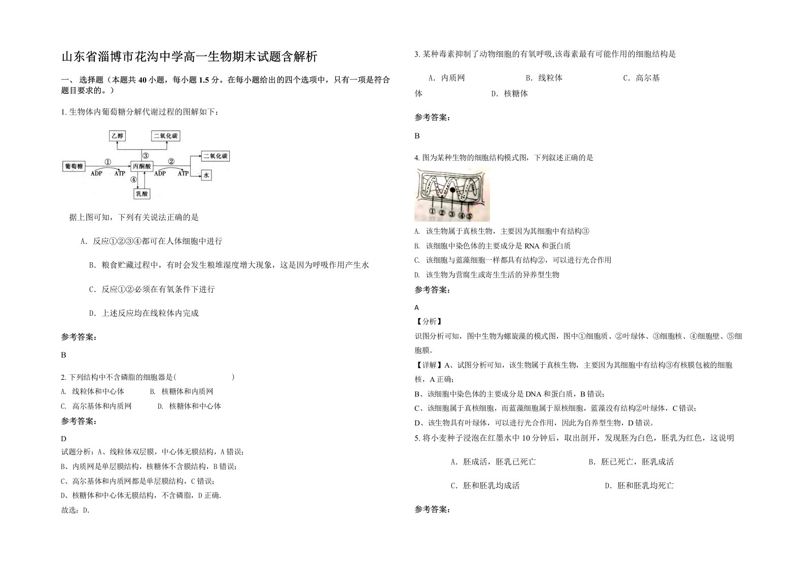 山东省淄博市花沟中学高一生物期末试题含解析