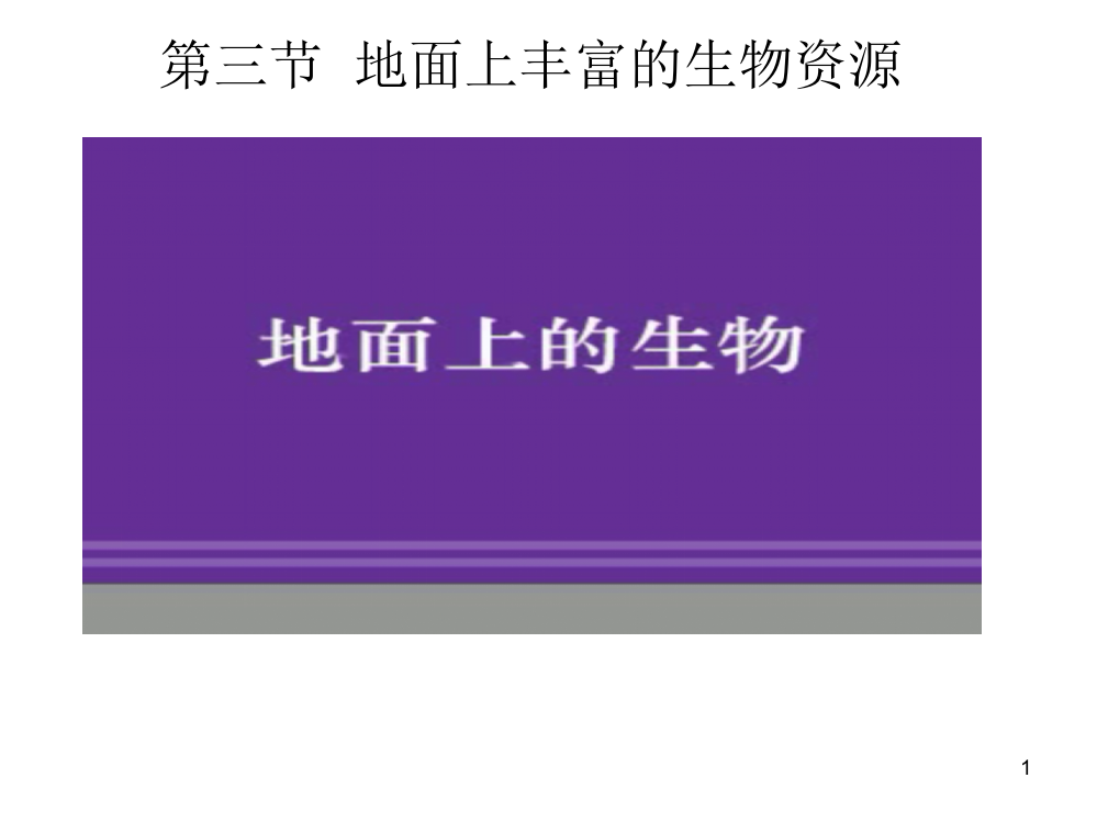 苏科版生物七下地面上丰富的生物资源ppt课件