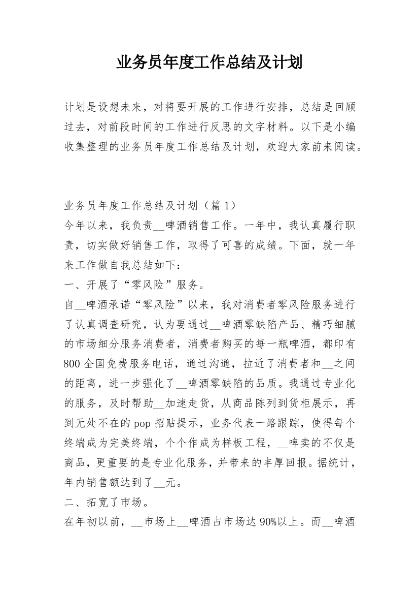 业务员年度工作总结及计划