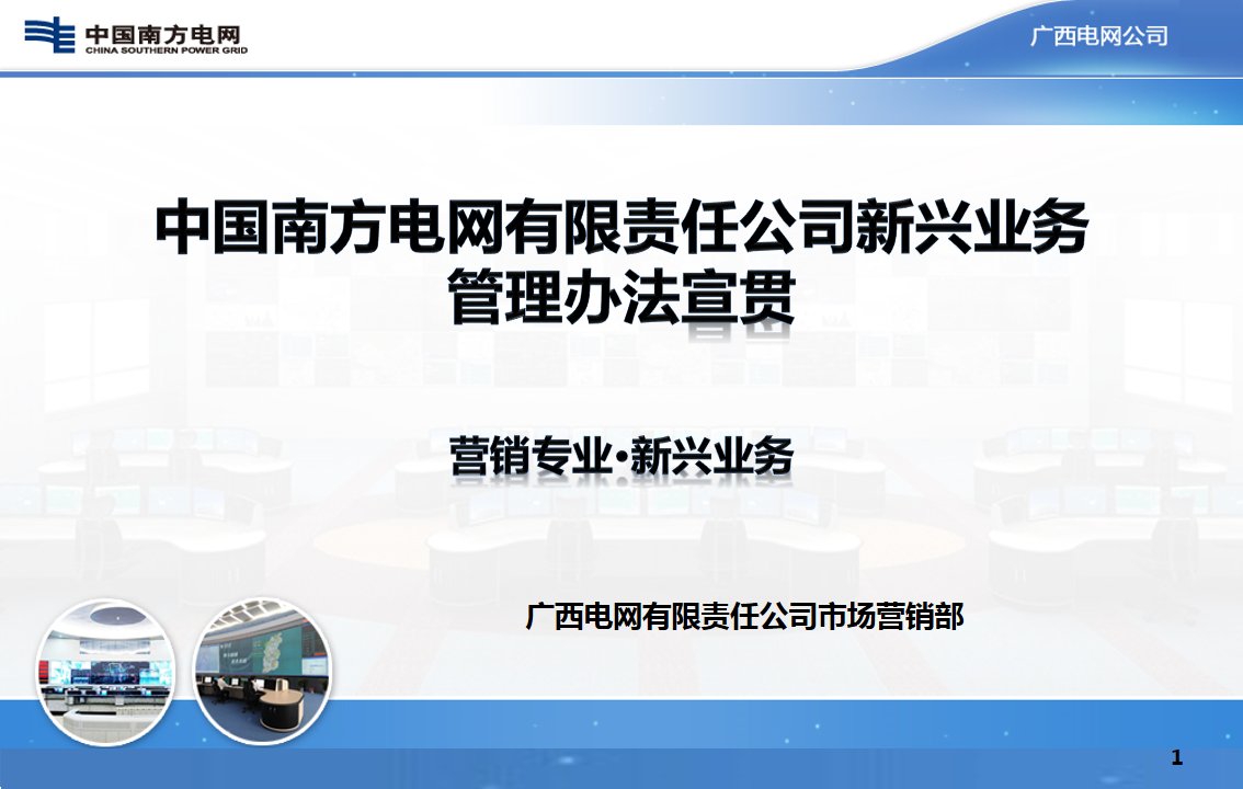 中国南方电网有限责任公司新兴业务管理办法