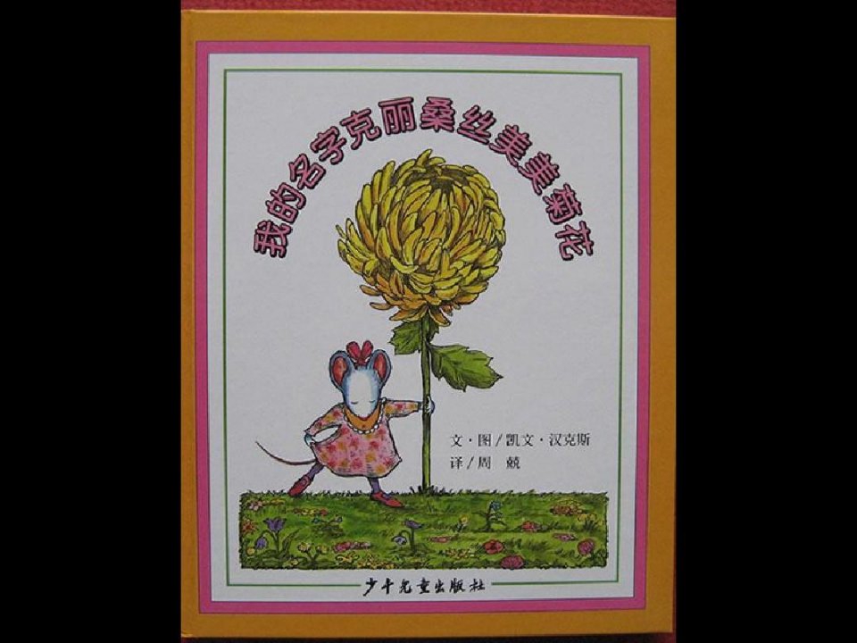 我的名字克丽桑丝美美菊花