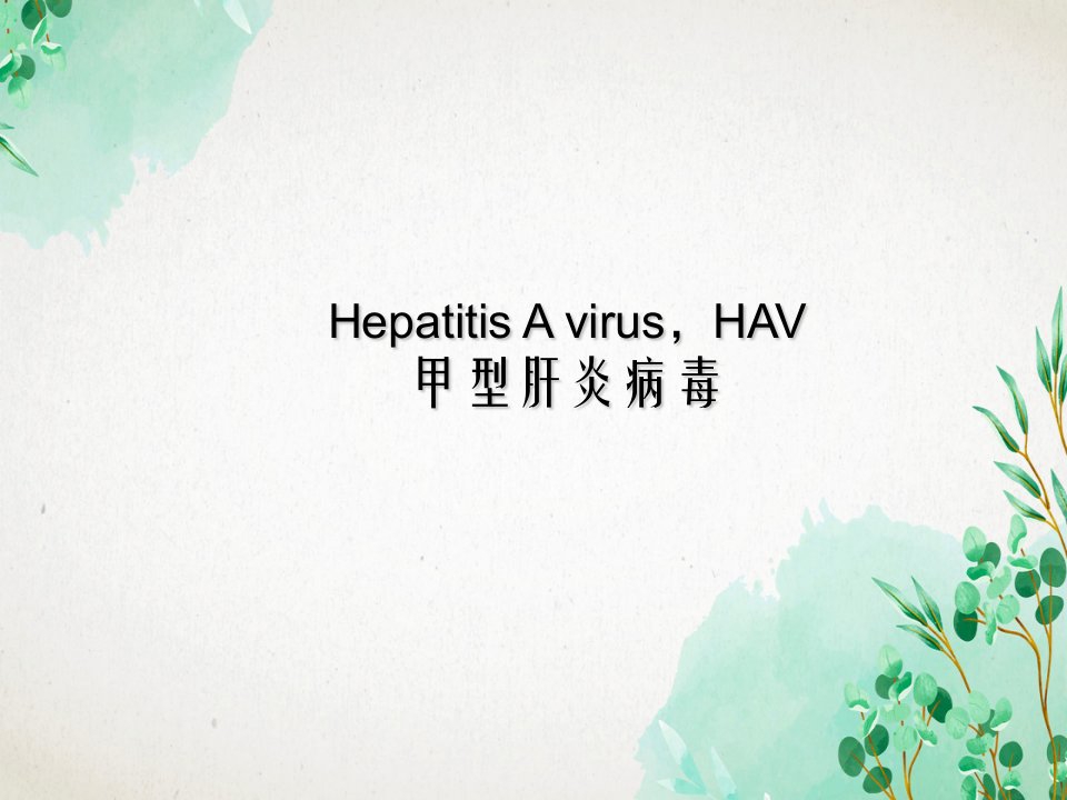 HEPATITISVIRUSES肝炎病毒简介