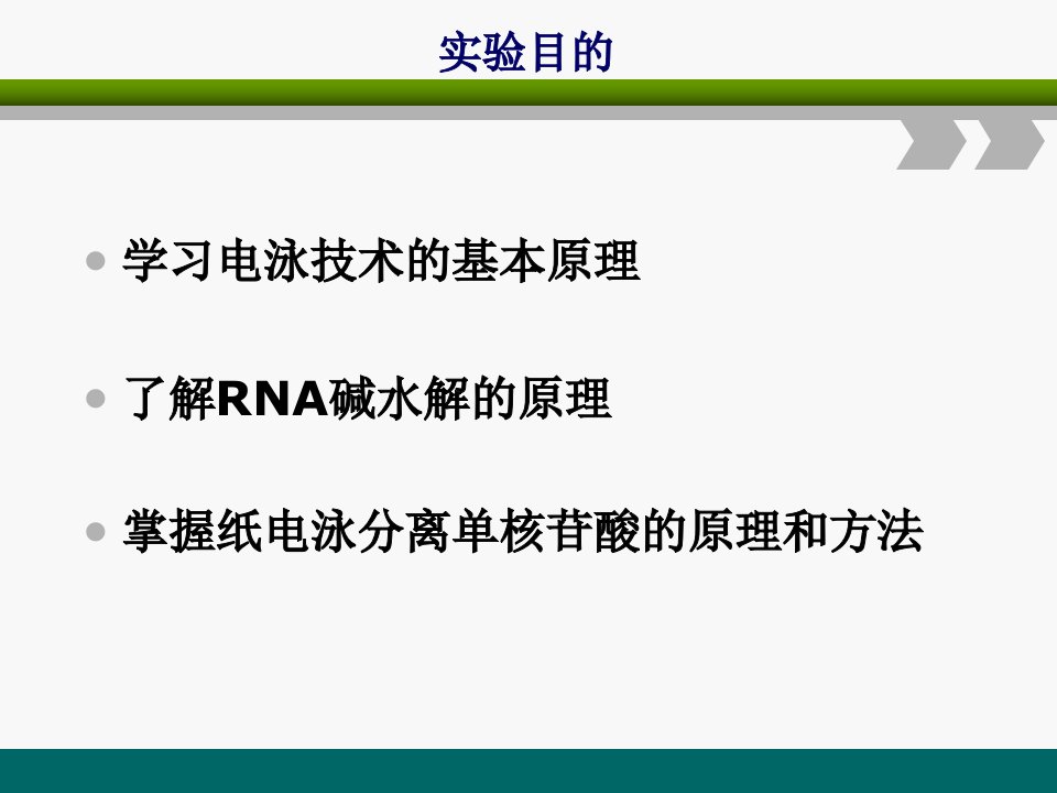 纸电泳法分离单核苷酸