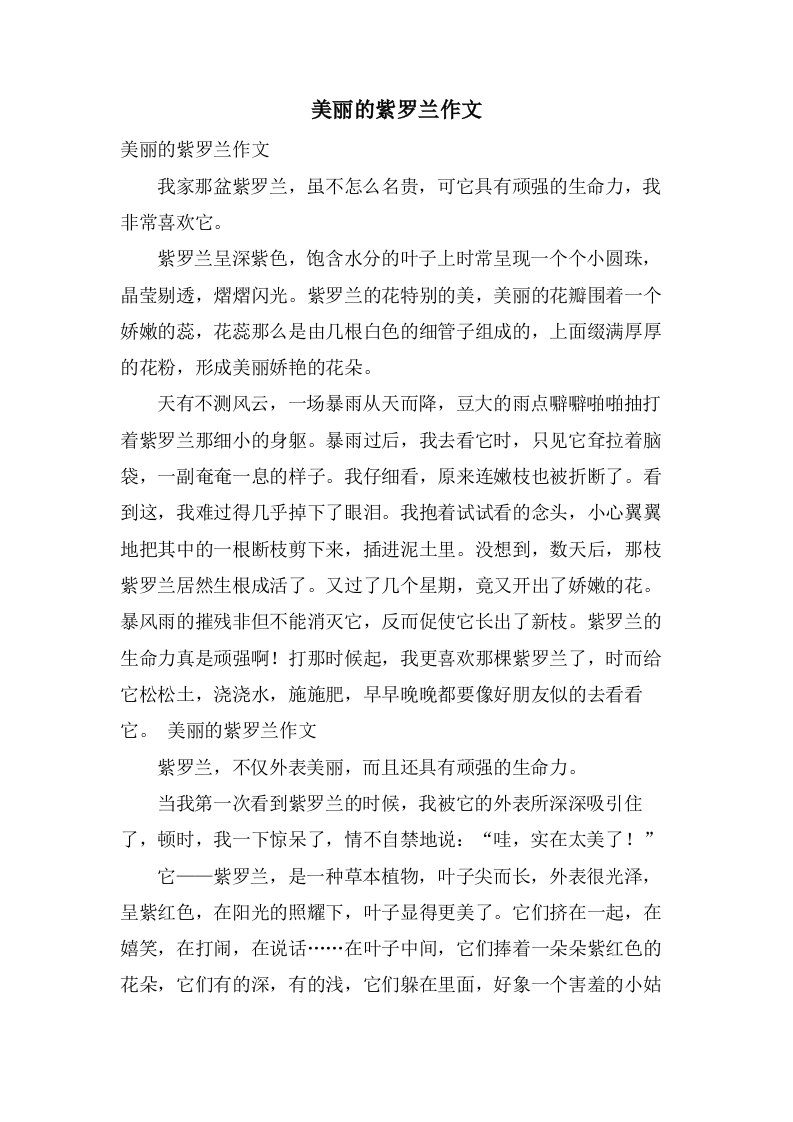 美丽的紫罗兰作文