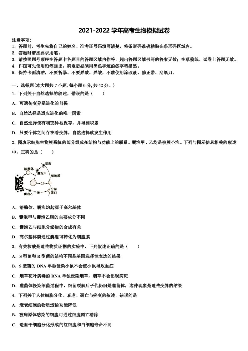 2022年山西省河津中学高三下学期联考生物试题含解析