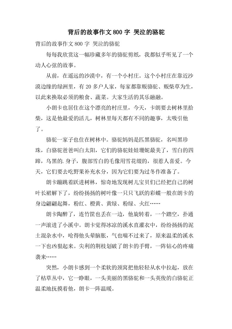 背后的故事作文800字