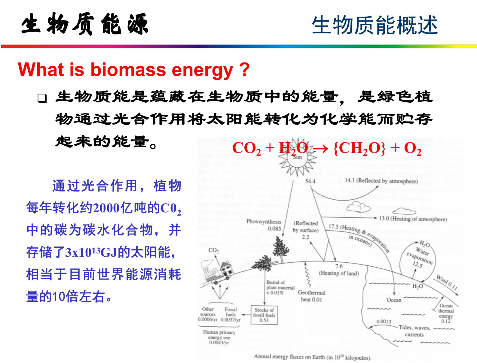 能源化学-生物质能源