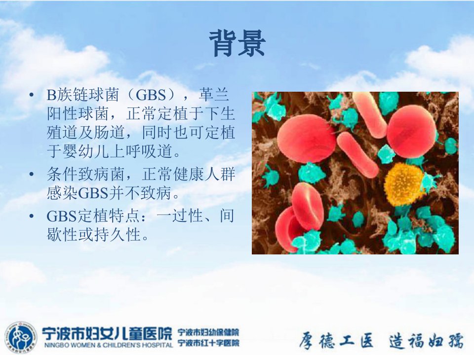 B族链球菌(GBS)围产期管理PPT讲座