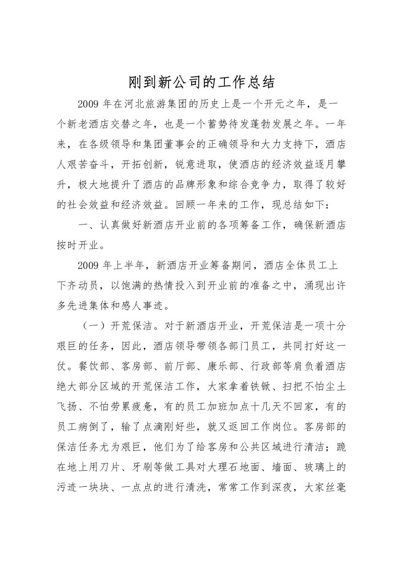 2022刚到新公司的工作总结