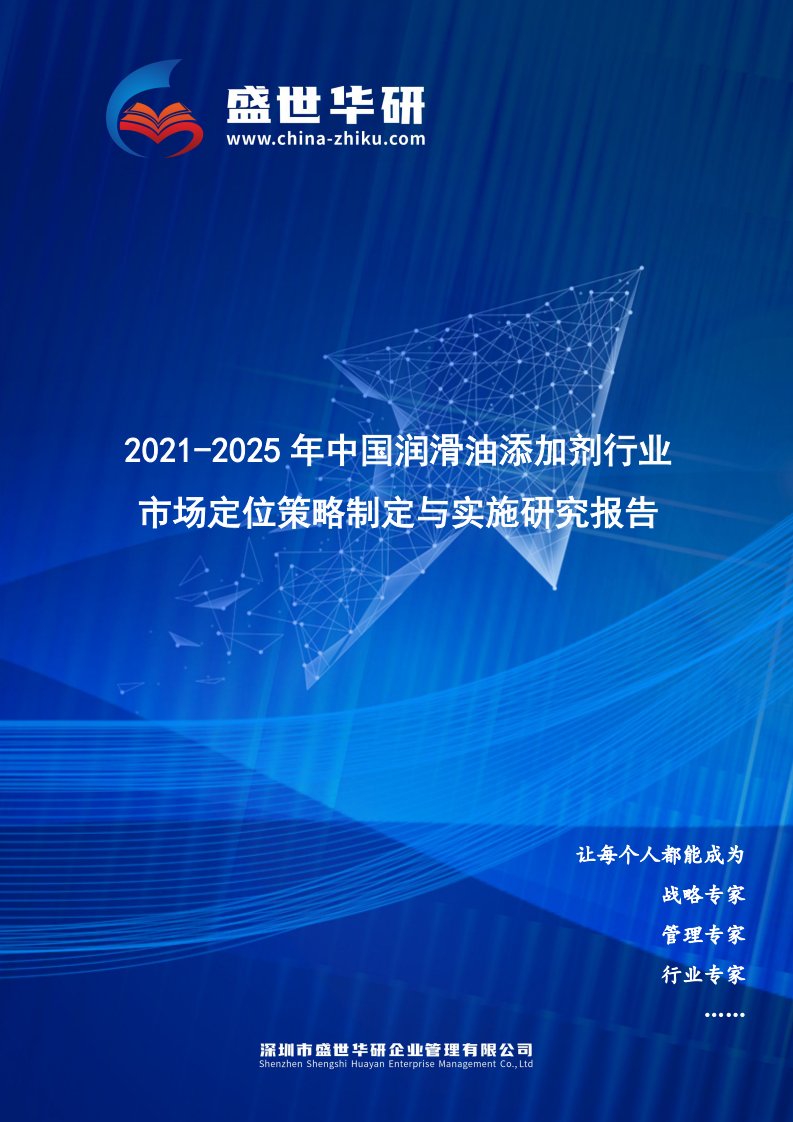 2021-2025年中国润滑油添加剂行业市场定位策略制定与实施研究报告