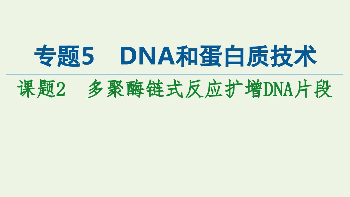 高中生物专题5DNA和蛋白质技术课题2多聚酶链式反应扩增DNA片段课件新人教版选修1