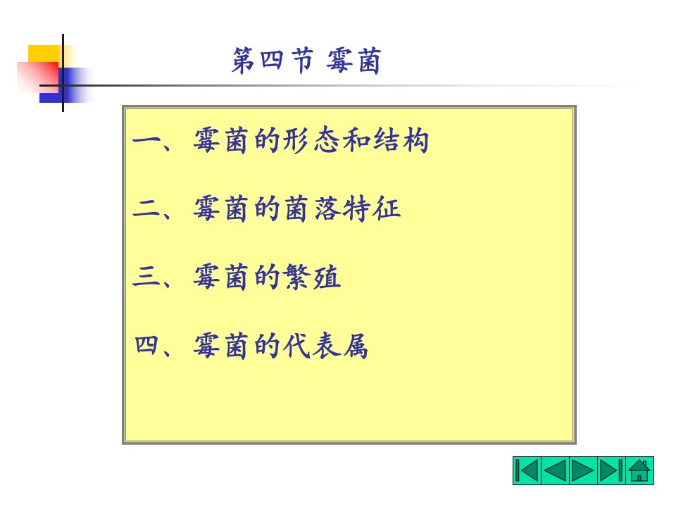 微生物形态霉菌