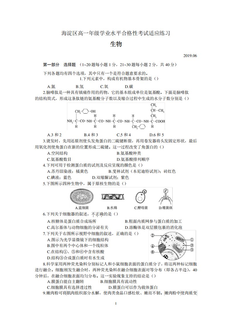 2019年北京市海淀区高一年级学业水平合格性考试适应练习生物试题含答案精品