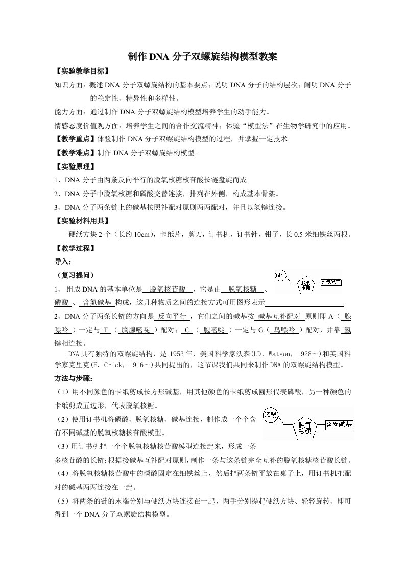 制作DNA双螺旋结构模型实验教案