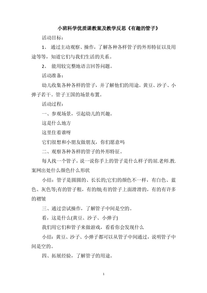 小班科学优质课教案及教学反思《有趣的管子》