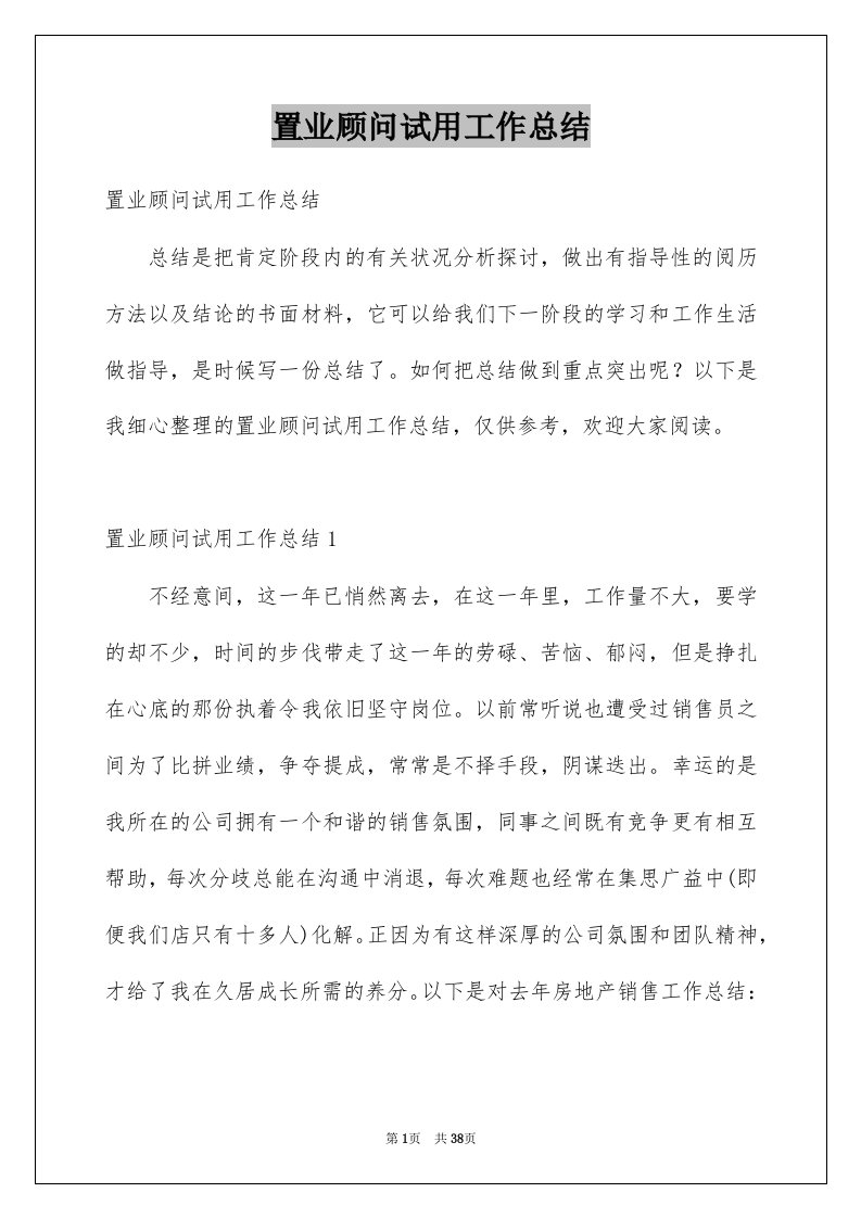 置业顾问试用工作总结例文