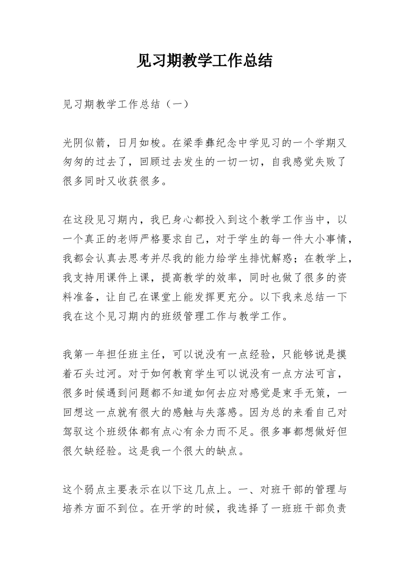 见习期教学工作总结