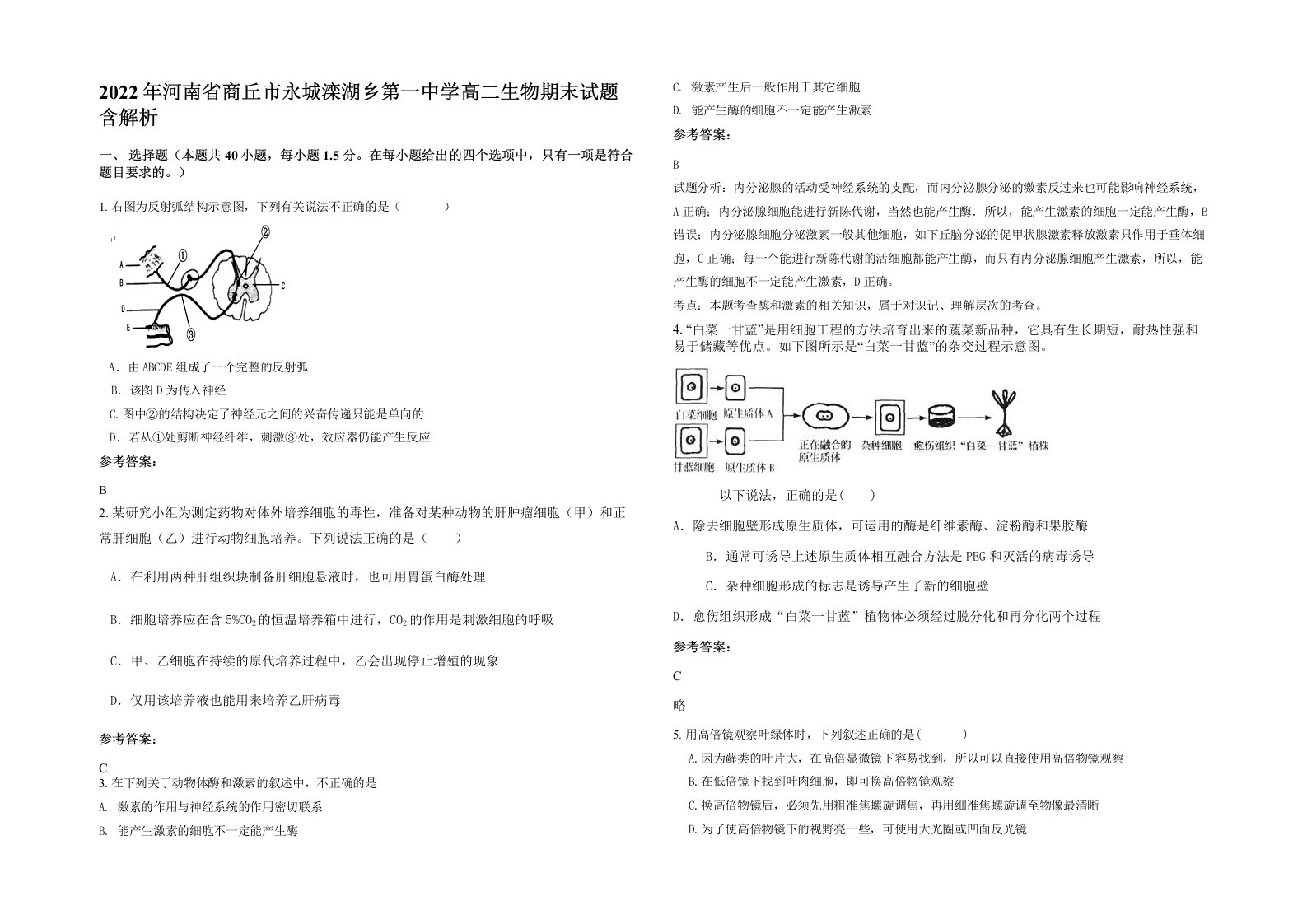 2022年河南省商丘市永城滦湖乡第一中学高二生物期末试题含解析