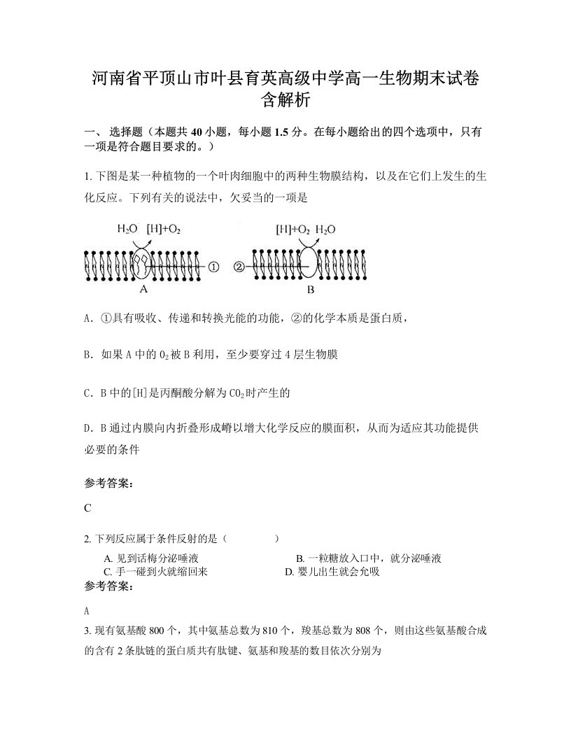 河南省平顶山市叶县育英高级中学高一生物期末试卷含解析