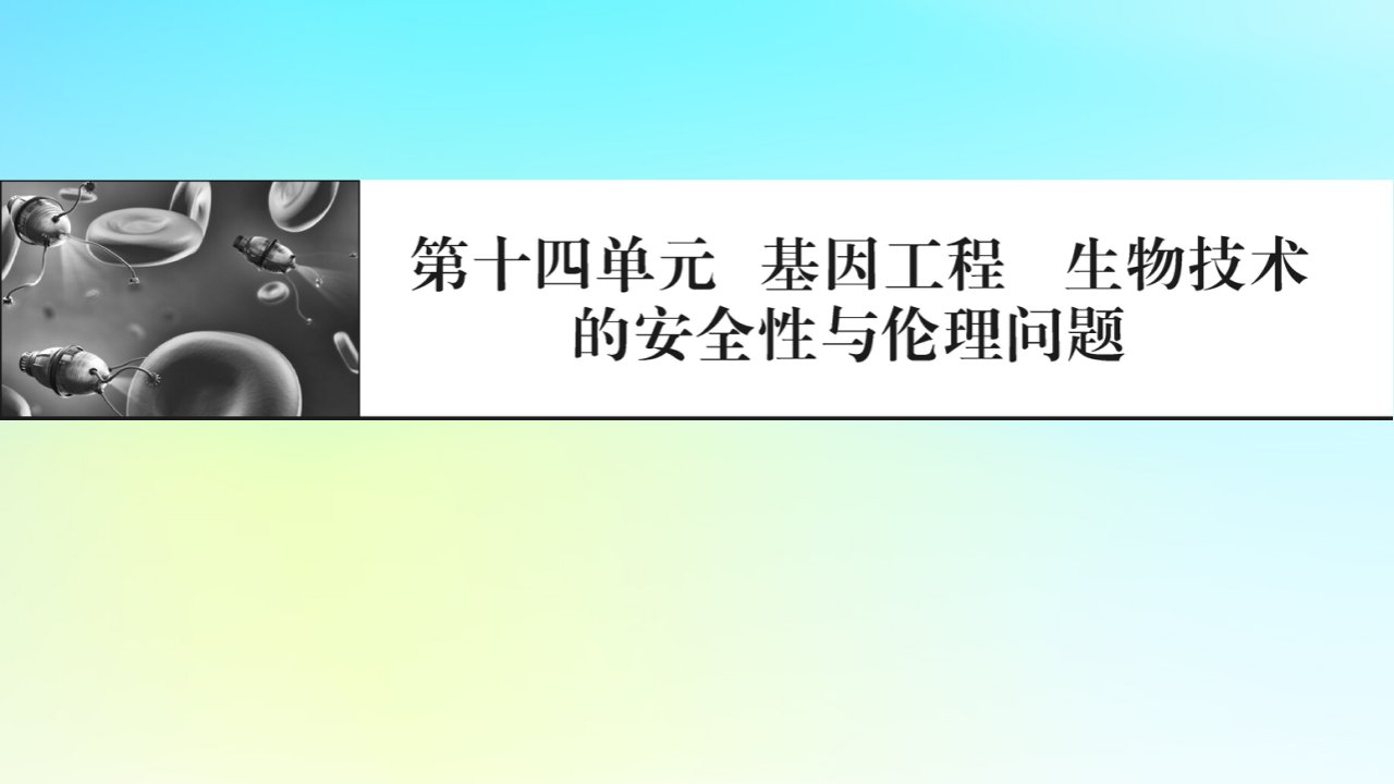 2024版高考生物一轮总复习第十四单元基因工程生物技术的安全性与伦理问题课件