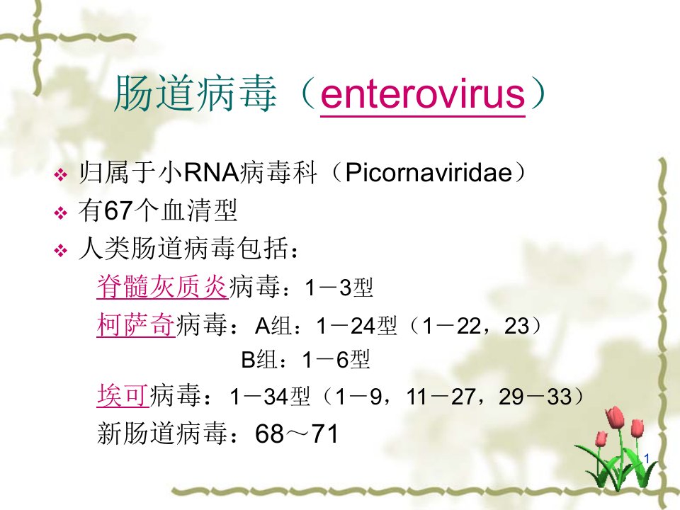 微生物学肠道病毒09护本