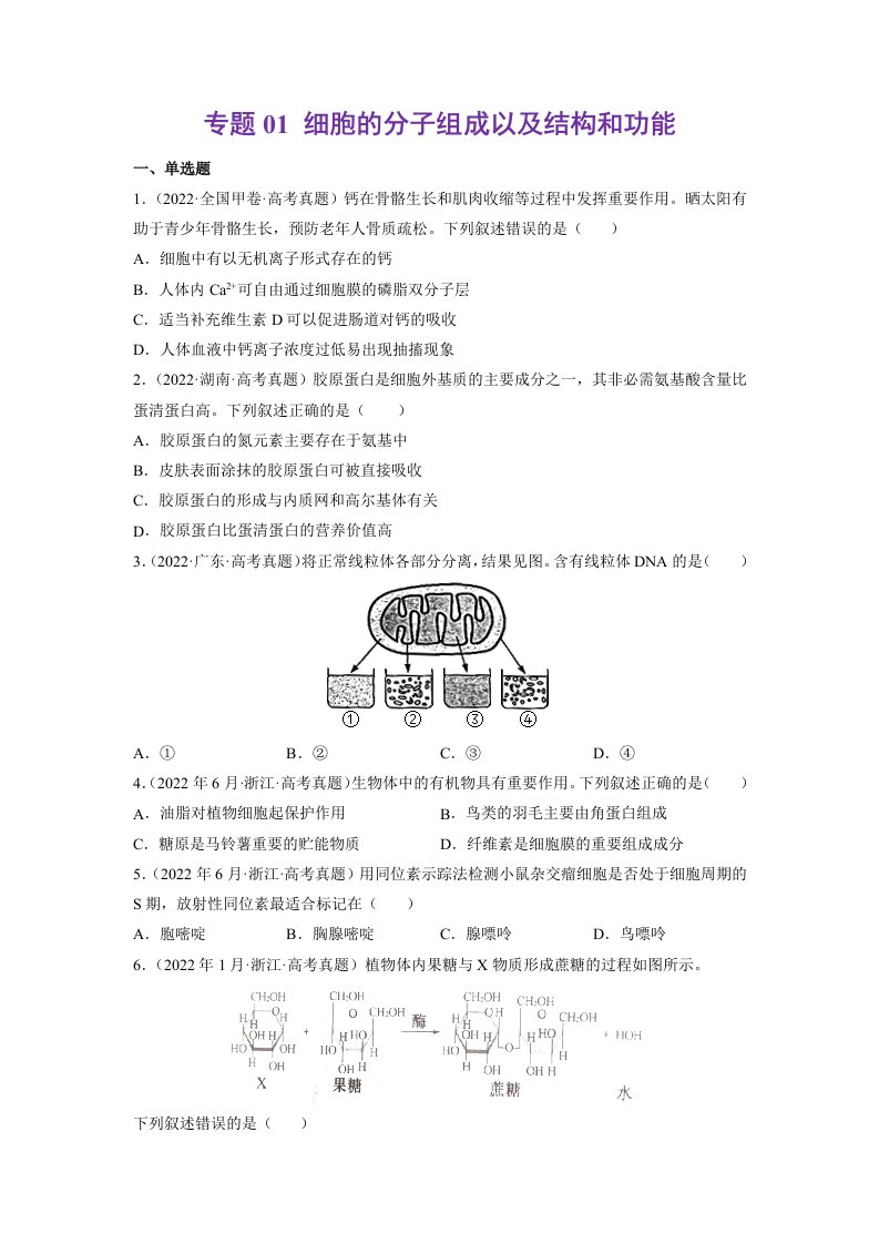 专题01