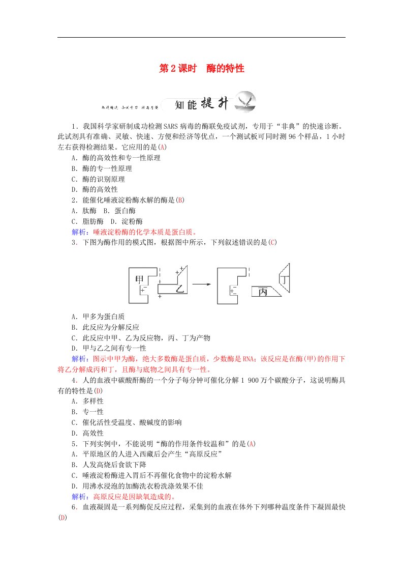 新人教版高一生物专题：降低化学反应活化能的酶