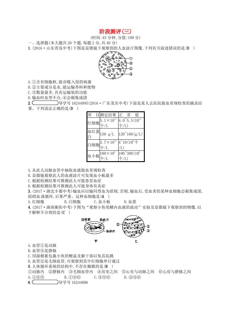 2017-2018学年七年级生物下册阶段测评三济南版