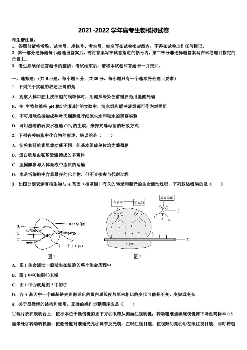 2022年宁夏吴忠市盐池高级中学高三最后一卷生物试卷含解析