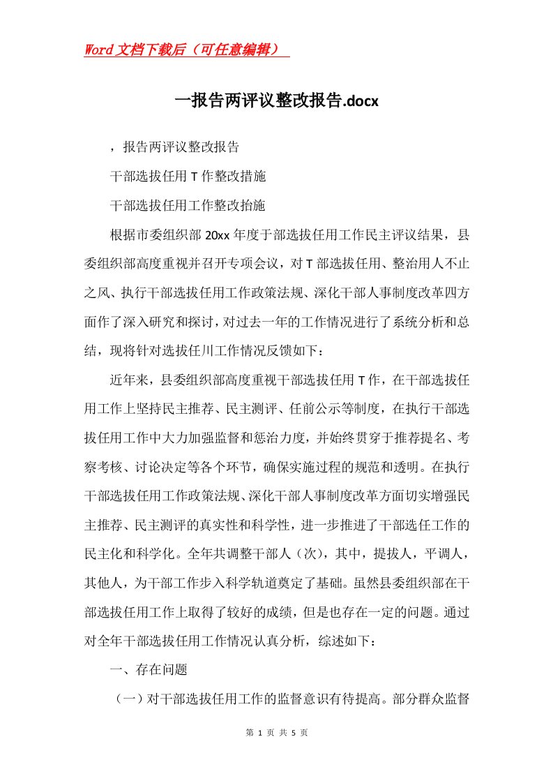 一报告两评议整改报告.docx