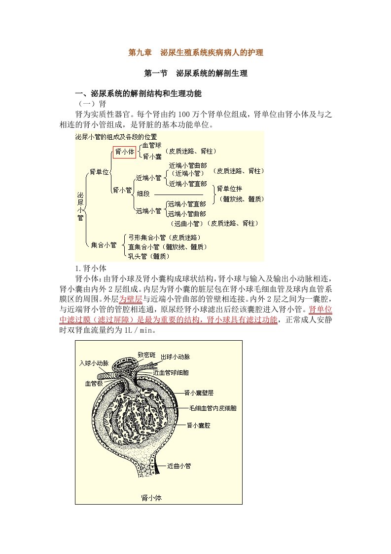 第九章泌尿生殖系统疾病病人的护理