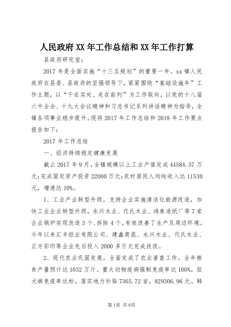 5人民政府某年工作总结和某年工作打算