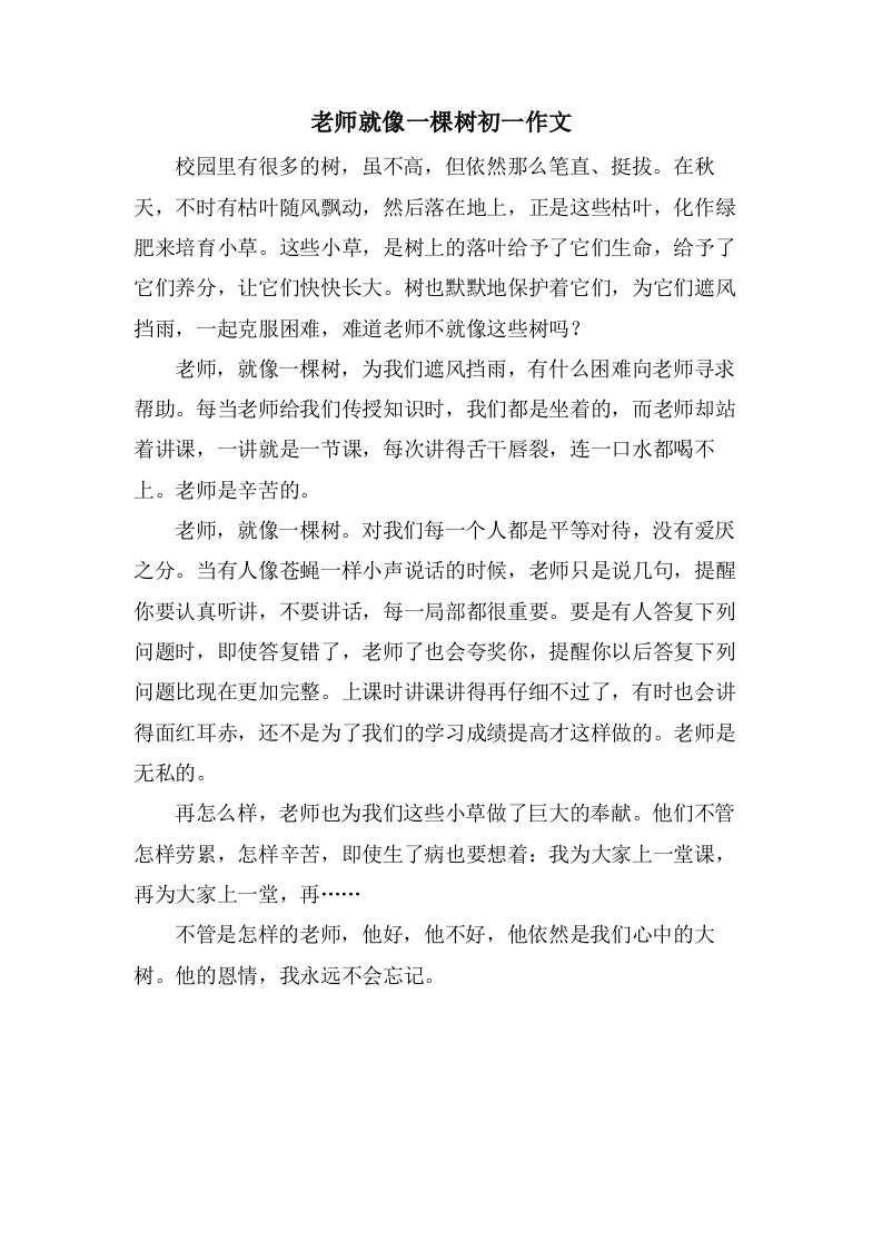 老师就像一棵树初一作文