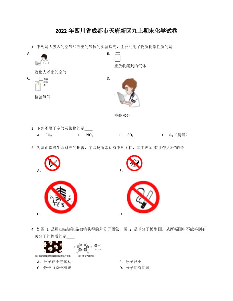 2022年四川省成都市天府新区九年级上学期期末化学试卷（含答案）