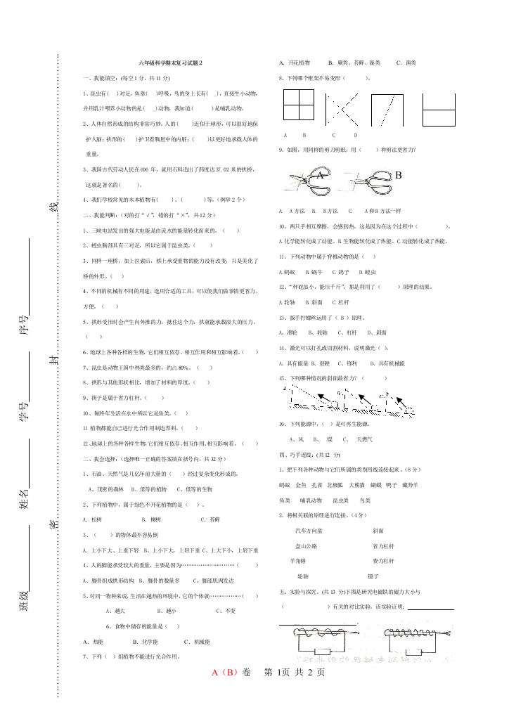 六年级科学上册总复习试题2