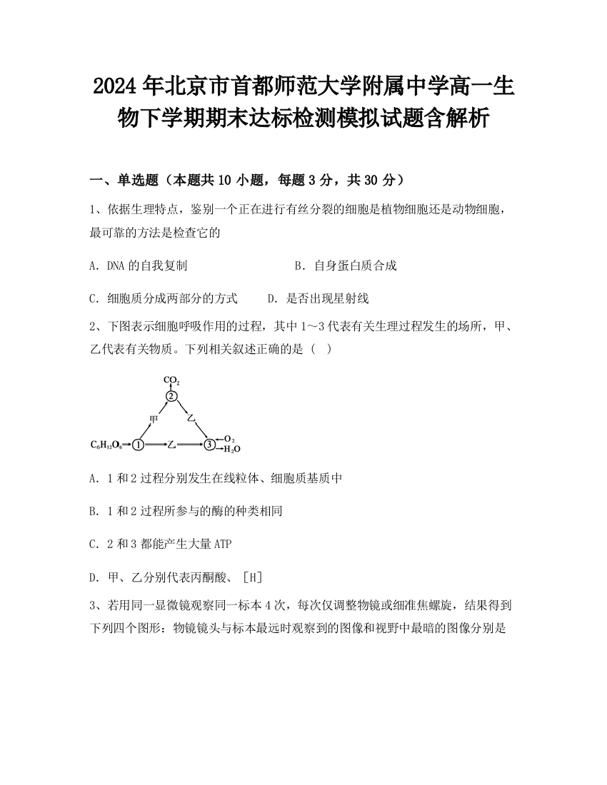 2024年北京市首都师范大学附属中学高一生物下学期期末达标检测模拟试题含解析