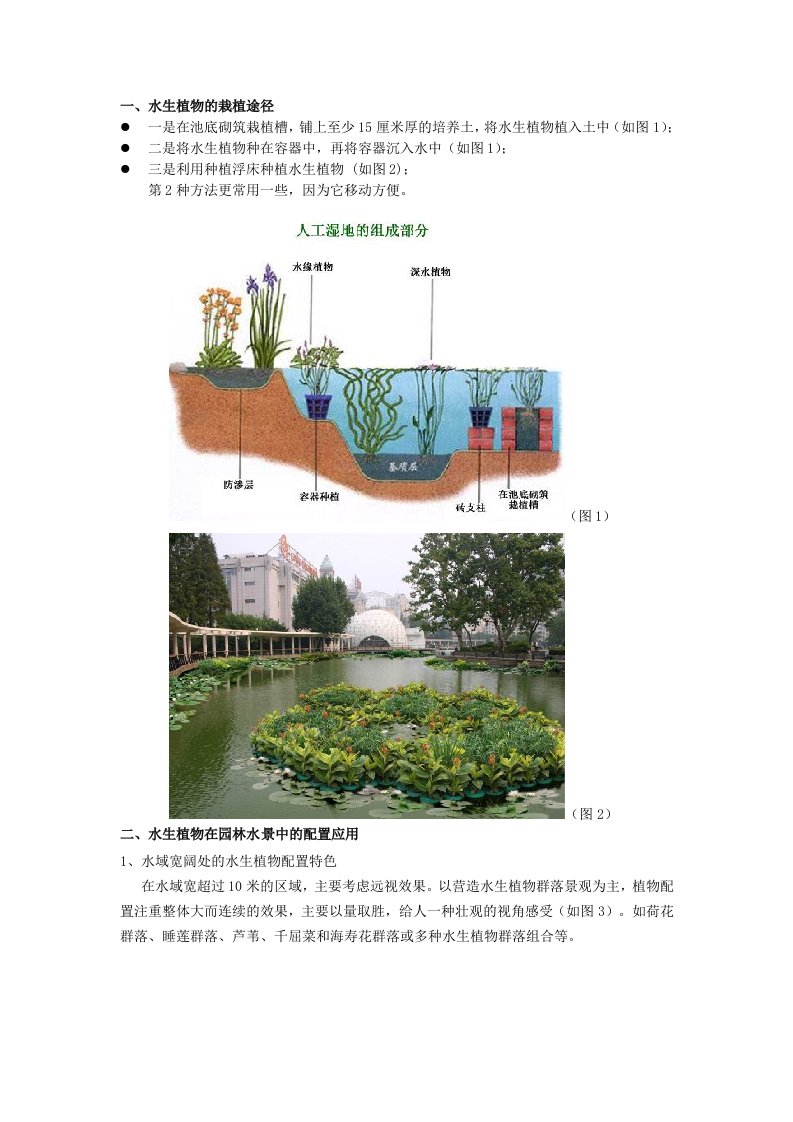 水生植物设计要点